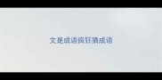 文是成语疯狂猜成语