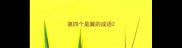 第四个是翼的成语