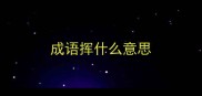 成语挥什么意思