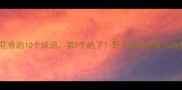 形容野花香的10个成语第5个绝了野花香的意境与诗意之美