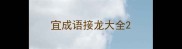 宜成语接龙大全
