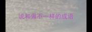 说和做不一样的成语