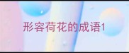 形容荷花的成语
