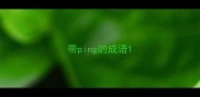 带ping的成语