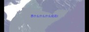 愚什么什么什么成语