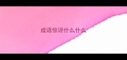成语惊讶什么什么