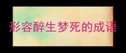 形容醉生梦死的成语