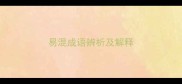 易混成语辨析及解释