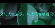 了无牵挂的深层含义与人生启示从成语智慧看现代生活的精神自由