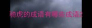 骑虎的成语有哪些成语
