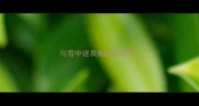 与雪中送炭相对的成语