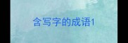 含写字的成语