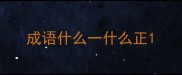 成语什么一什么正