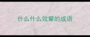 什么什么效颦的成语