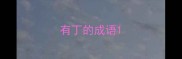 有丁的成语
