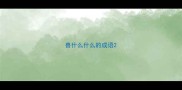 兽什么什么的成语
