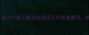 职场沟通必备这10个表示服从的成语让你快速晋升附使用场景大