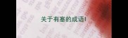 关于有塞的成语