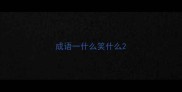 成语一什么笑什么