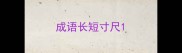 成语长短寸尺