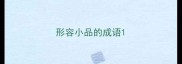 形容小品的成语