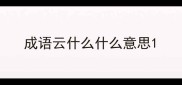 成语云什么什么意思