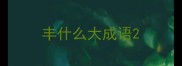 丰什么大成语