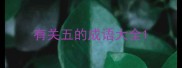 有关五的成语大全