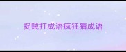 捉贼打成语疯狂猜成语