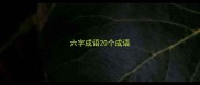 六字成语20个成语
