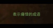 表示痛惜的成语