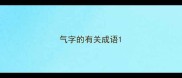 气字的有关成语