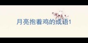 月亮抱着鸡的成语
