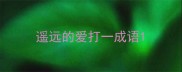 遥远的爱打一成语