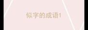 似字的成语