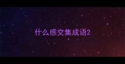 什么感交集成语