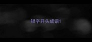 银字开头成语