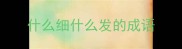 什么细什么发的成语