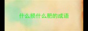 什么损什么肥的成语