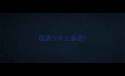 成语少什么意思