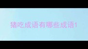 猪吃成语有哪些成语