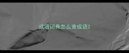 成语词典怎么查成语