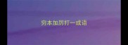 穷本加厉打一成语