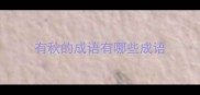 有秋的成语有哪些成语