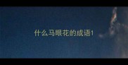 什么马眼花的成语
